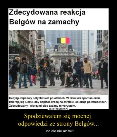 polwes - #belgia #bekazlewactwa #terroryzm #4konserwy