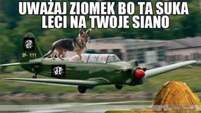 k.....i - @BenzoesanSodu: ktoś musi to mu powiedzieć!