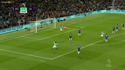 Minieri - Kompany, Manchester City - Leicester 1:0 (ʘ‿ʘ)
#golgif #mecz #premierleagu...