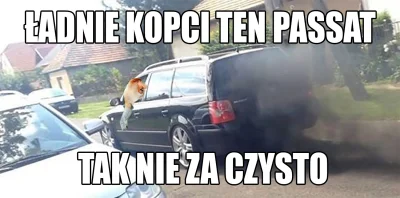 Trombe - Diesel kopcić musi!

#nosacz #nosaczsundajski #memy #polak #humor #heheszk...