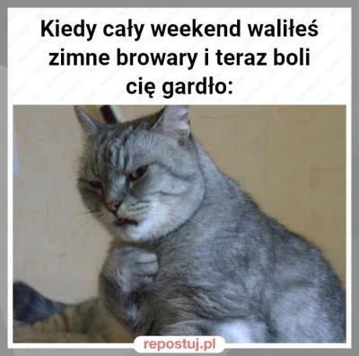 PaNaTypa - Już nie piwkuje, przynajmniej do weekendu... ( ͡° ʖ̯ ͡°)
#truestory #piwo