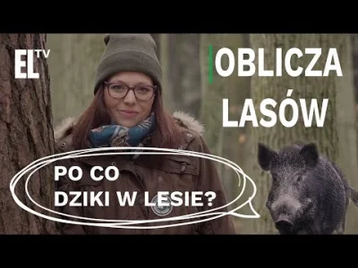 DziecizChoroszczy - #pytanie #ankieta #lasypanstwowe #earthporn #youtube
Szanujecie E...