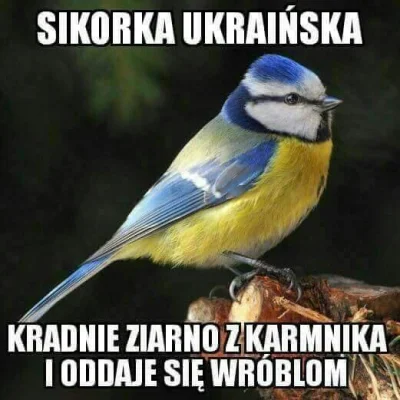 leeroyjenkins - #heheszki #humorobrazkowy #ukraina