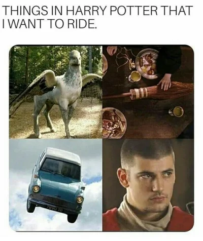 kiwi_intrygant - #heheszki #memy #humorobrazkowy #harrypotter #teczowepaski 
taka pra...