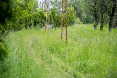 Cymerek - @gumiorek: Też widziałem. Torowisko nieczynne ponad pół roku i nikt z ZIKiT...