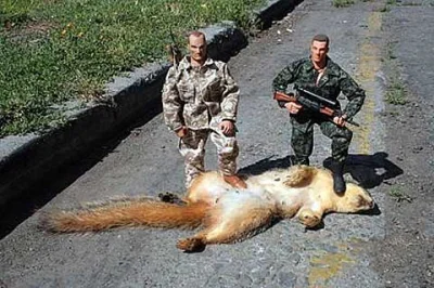 M.....a - 114kg wiewiórka upolowana w Parku Yellowstone w dolnych Himalajach:
#cieka...