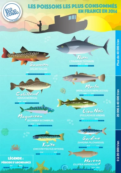 NadiaFrance - Jako ciekawostkę, dodaję mapkę pokazującą spożycie różnych gatunków ryb...