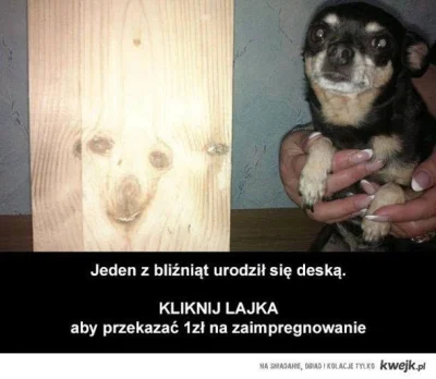 krdk - Co te internety XD 



#heheszki