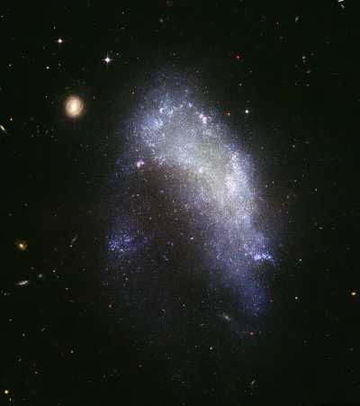d.....4 - Galaktyka nieregularna 1427A

#kosmos #astronomia #conocjednagalaktyka #dob...