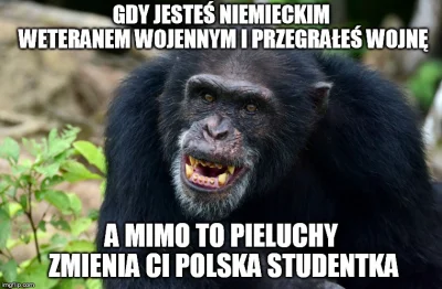 CenaByciaPrzegrywem - #logikarozowychpaskow #p0lka #zagranico #niemcy #polskieobozyko...