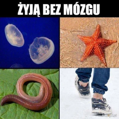 Gilgamesz69 - Ja to jeszcze kalesony zakładam bo zimno ( ಠ_ಠ)
#humorobrazkowy #hehesz...