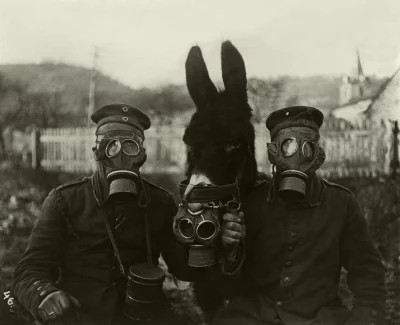 LoveMaggots - Pruscy żołnierze z mułem w maskach przeciwgazowych, 1916
#historia #iw...