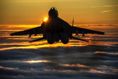 CanisLupusLupus - Polski MiG-29 sfotografowany przez Richa Coopera. 

#aircraftbone...