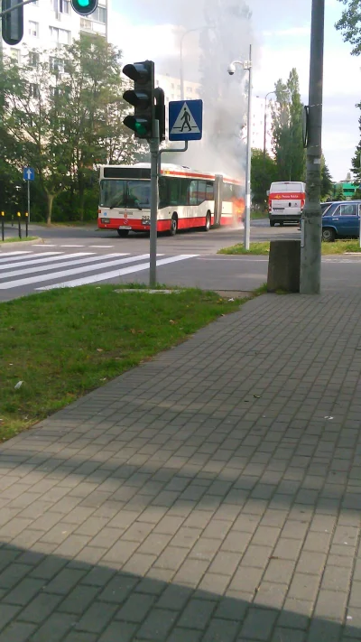 paulinsien - zdjęcie sprzed chwili, Gdańsk Żabianka, autobus się pali przed przejście...