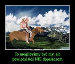 KocurYT - @MirekSzukaZony: xd