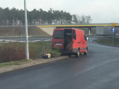 absoladoo - Cichy bohater, którego potrzebuje branża transportowa. Świeże owoce na MO...