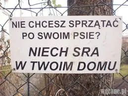 r.....7 - Jak widać, psiutki to nie tylko zabawa, ale i tragedie. Winę oczywiscie za ...