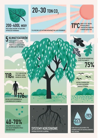 piszmaile - #drzewa #tlen #zycie #zielen #drzewo #powietrze #woda #natura