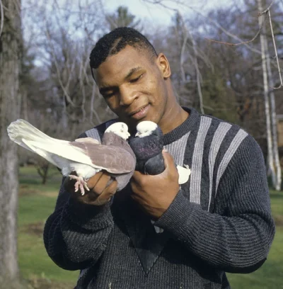 FrasierCrane - @lkg1: Przecież Tyson to fanatyk gołębi.