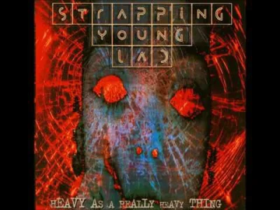 Stooleyqa - Strapping Young Lad - Critic
#muzyka #metal #strappingyounglad #SYL #dev...