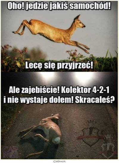 dunc1337 - Dzień dobry! ( ͡° ͜ʖ ͡°)

#heheszki #humorobrazkowy #samochody