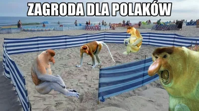 Rozpustnik - Już dziś nad Bałtykiem ( ͡° ͜ʖ ͡°)

#polak #heheszki #humorobrazkowy #ja...