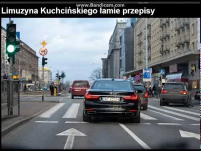 Awizisie - Limuzyna Kuchcińskiego łamie przepisy #pis #polityka