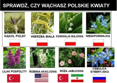 U.....z - Polaku! Wąchaj polskie katolickie kwiaty, a nie obce!!!!!!!
Śmierć WrogĄ W...