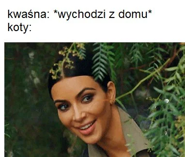 kwasnydeszcz - #gownowpis #koty