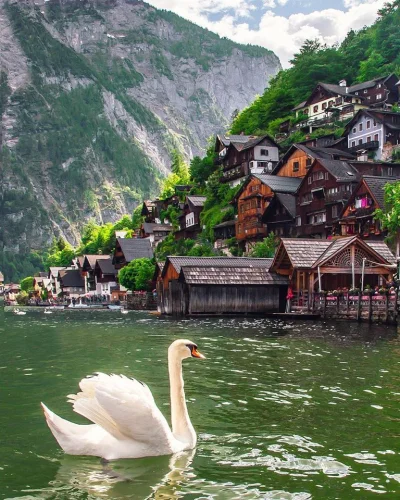 Artktur - Hallstatt, Austria

Odkrywaj świat z wykopem ---> #exploworld

#fotogra...