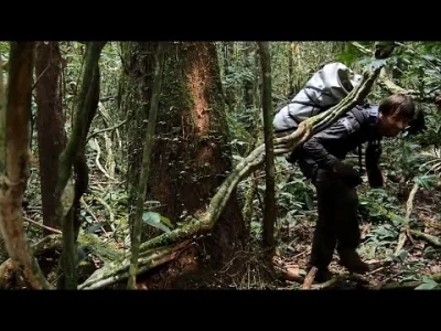 freekid - Czwarta część samotnej wędrówki przez dżunglę 
#podroze #dzungla #survival