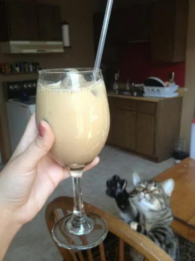 pestis - ostatnia szklanka mleka w domu
[ #kot #koty #heheszki ]