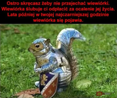 mistrz_zen - #heheszki #humorobrazkowy