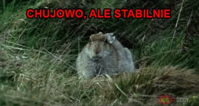 trebeter - Najnowsze wyniki pomiarów jakości powietrza w Krakowie:



Stacja na ulicy...