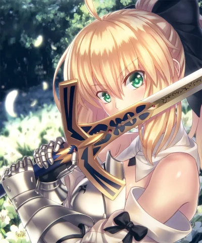 n.....S - #randomanimeshit #fate #saber #saberlily #sabernadzis # @Evil_Anon 
kto ob...