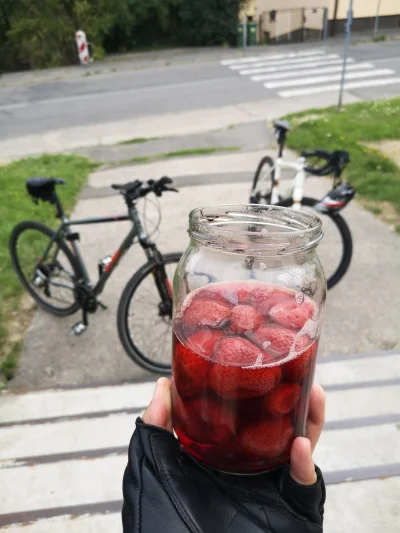 josemorales - Mirki pijcie ze mną kompot na wycieczce rowerowej #kompot #rower #czech...