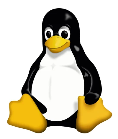 i.....v - Build Your Own Linux: Stwórz swój własny system na bazie j---a Linuxa - pol...