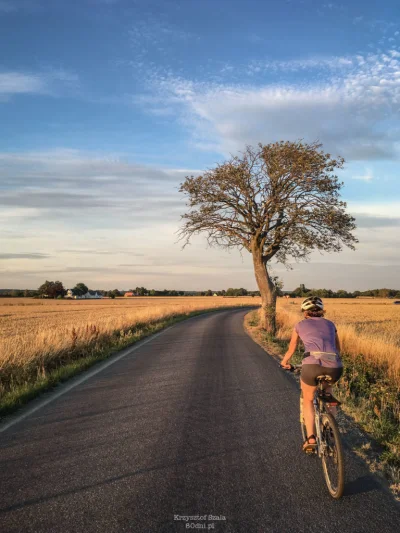 AvantaR - Hello rowerowe świry. Dzisiaj zapraszam do mojego tekstu poświęconego duńsk...