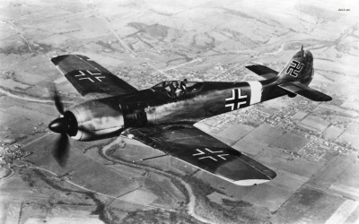 N.....h - #aircraftboners #iiwojnaswiatowa 

Focke-Wulf Fw 190 Würger (z niem. "dzi...