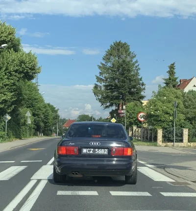 sjs - Niestety ustrzelone z auta, kiedyś widziałem je już na DK8. Musiało robić niesa...