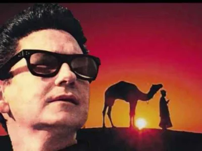 D.....k - #muzyka #muzykadreszczyka #royorbison #madmen
( ͡u ʖ̯ ͡u)