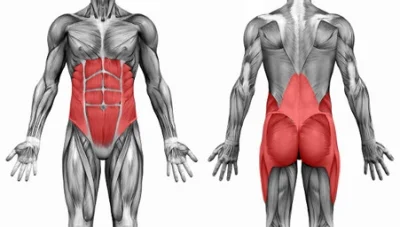 rotero - @czup: planki angażują bezpośrednio niemal wszystkie poniższe mięśnie, a poś...