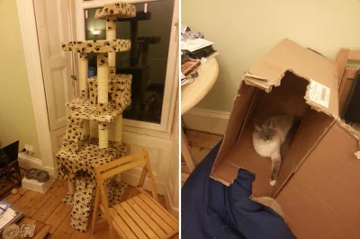 h.....t - #koty #pudelka #reddit

Nowa zabawka dla kota: