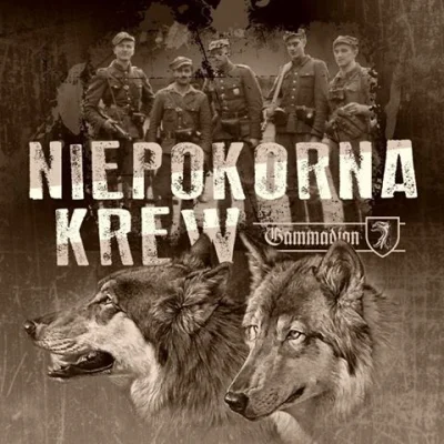 P.....4 - Podrzucam dobrą muzykę związaną z historią Żołnierzy Niezłomnych: album Nie...