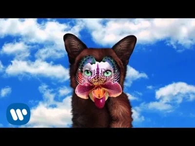 stefansiarrasiarzewski - Świeżak od Galantis
#muzykaelektroniczna #mirkoelektronika ...
