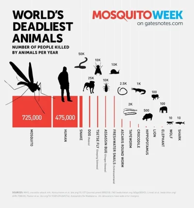 w.....z - @Luks_x: Nie ludzi a komary, to są prąwdziwi mordercy.