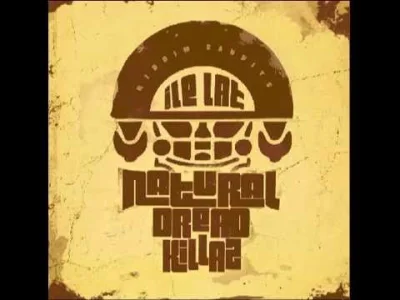 Master21 - 15. Natural Dread Killaz - Nielegalna
#piosenkidobiegania #muzyka