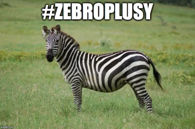 jazinternetu - #zebroplusy #humorobrazkowy #heheszki