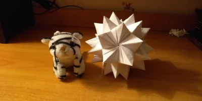 QuePasa - Stella Rhombica

Tygrys typu białego dla skali

#origami #diy #tworczos...