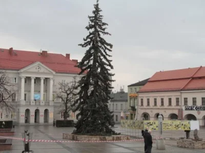 kravjec - ładną mamy choinkę w Kielcach? #takbardzozal